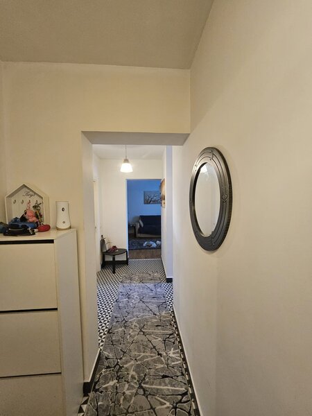 Colentina, Teiul Doamnei