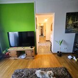 Colentina, Teiul Doamnei